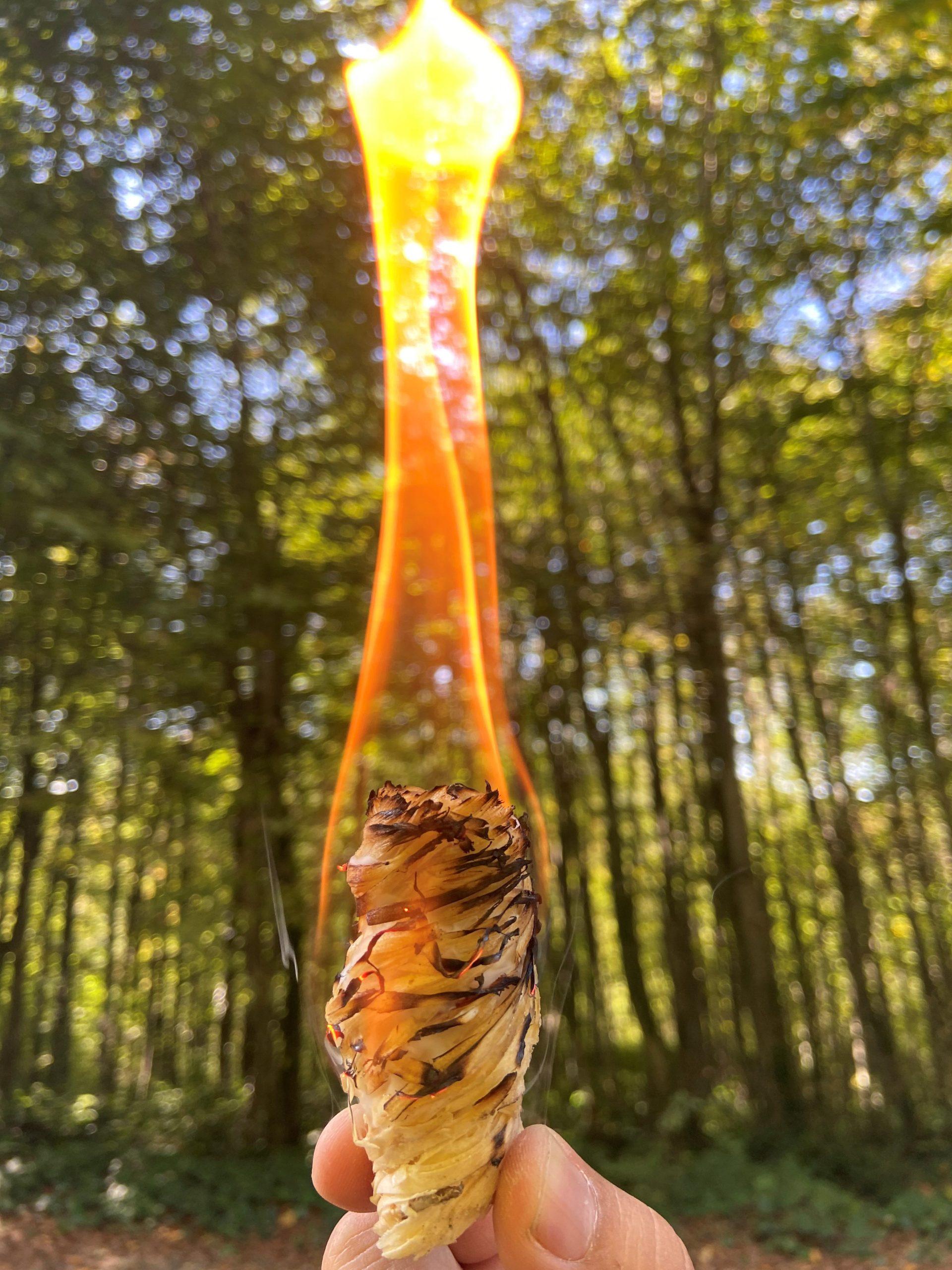 Bonga Odun Yünü Tutuşturucu – 10 Adet 140 Gr